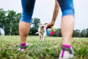 Frau spielt Ball mit ihrem Hund im Park Frau spielt Ball mit ihrem Hund im Park